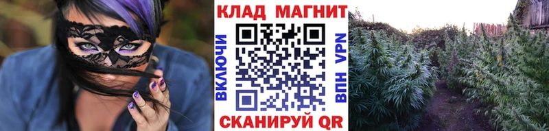 Как найти наркотики Камбарка Галлюциногенные грибы  Канабис  COCAIN  МДМА  Лсд 25  СОЛЬ 