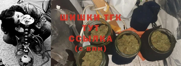 таблы Бородино
