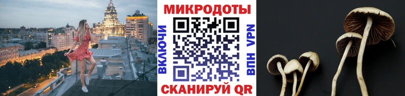 Псилоцибиновые грибы Magic Shrooms Камбарка